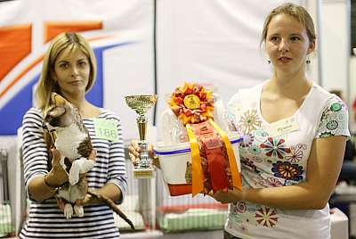 �������� ����� 20-21 �������� 2014 WCF-����� 3-186-169A1147 copy.jpg